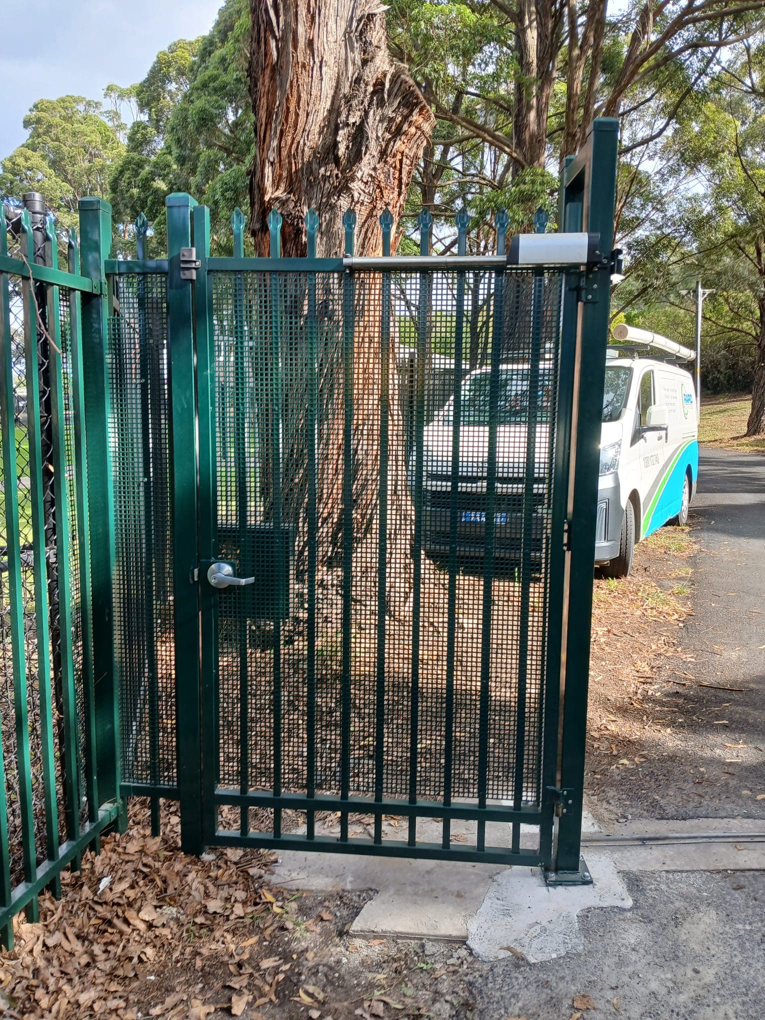 Dark green pedestrian side gate in an outdoor fenced access path.