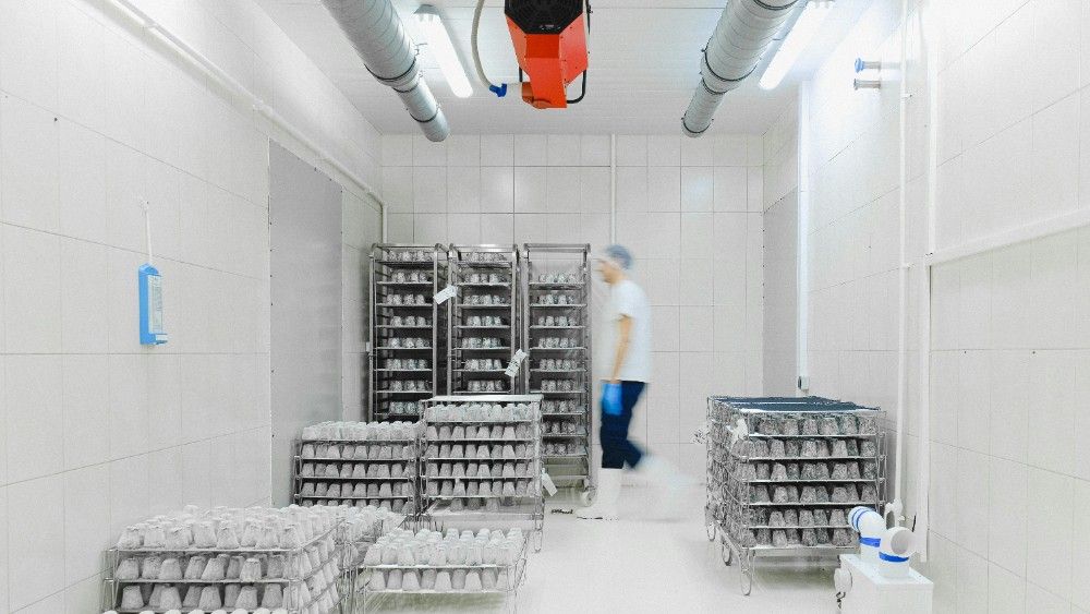 12 Distinct Environments in Commercial & Industrial Facilities (that use High-Speed Doors)