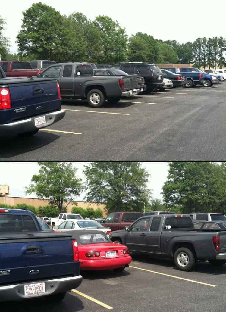 What Type of Parker Are You?